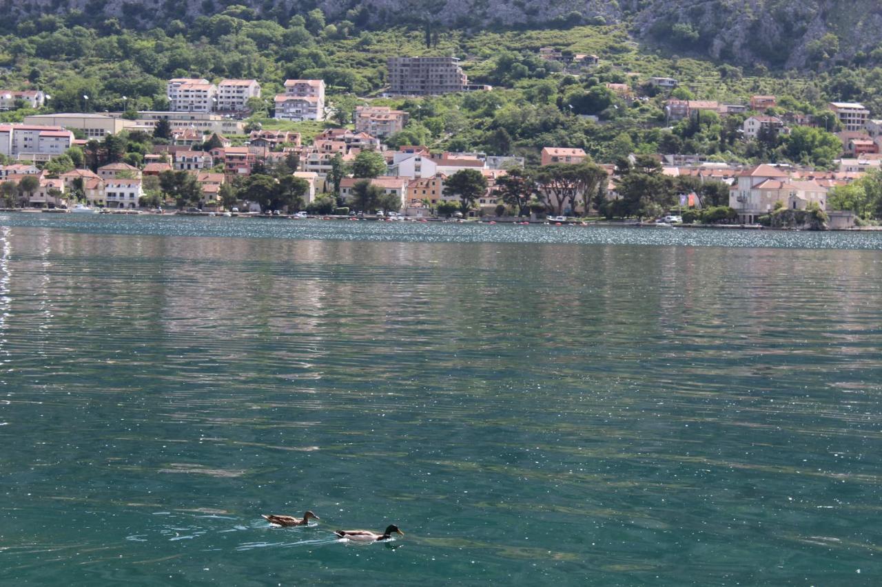 Mare E Montagna Apartamento Kotor Exterior foto